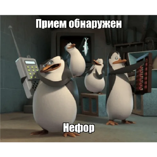 😱 Стикер «Пингвины» для Telegram