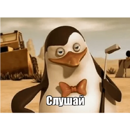 🙂 Стикер «Пингвины» для Telegram