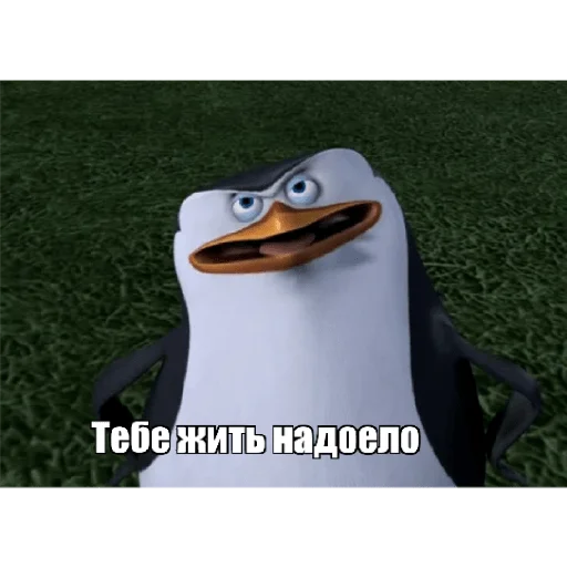 😤 Стикер «Пингвины» для Telegram