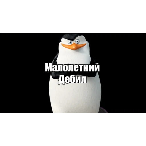 😏 Стикер «Пингвины» для Telegram