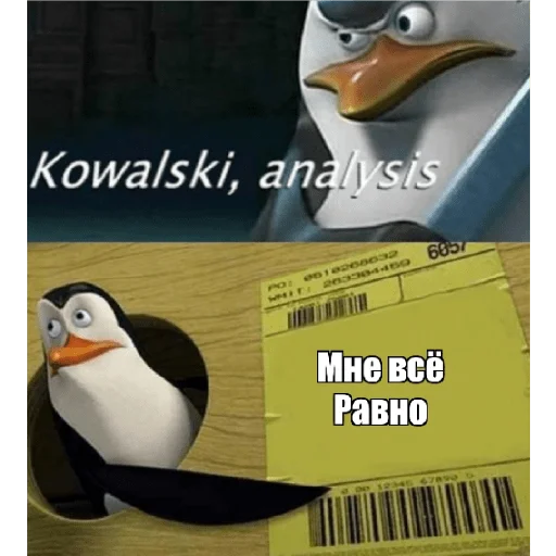 🤔 Стикер «Пингвины» для Telegram
