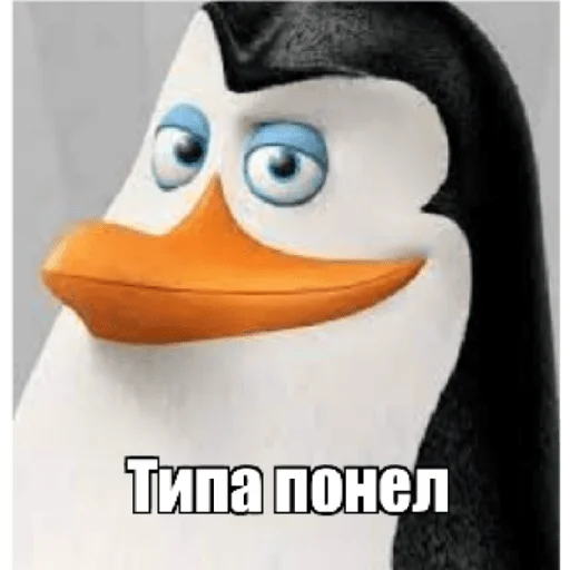 😏 Стикер «Пингвины» для Telegram
