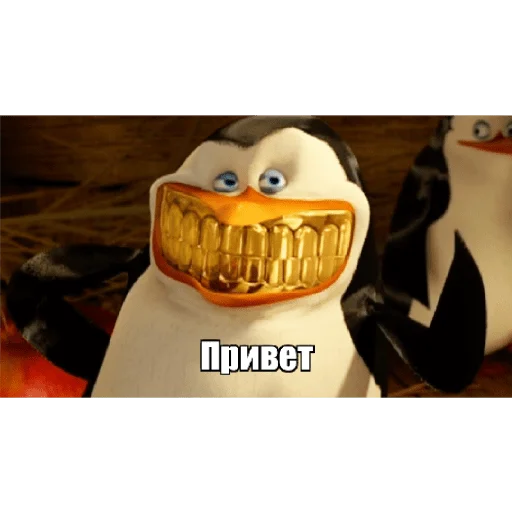 😁 Стикер «Пингвины» для Telegram