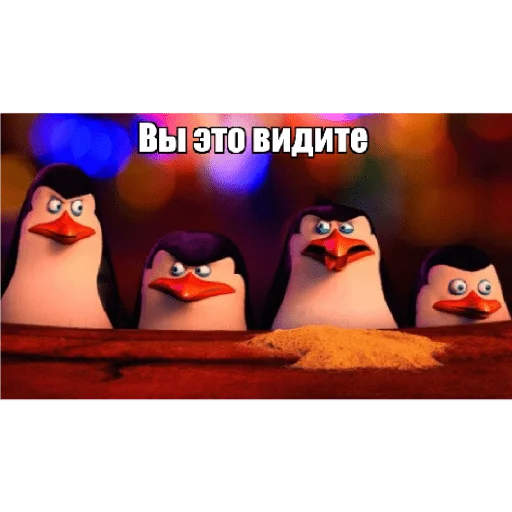 😮 Стикер «Пингвины» для Telegram
