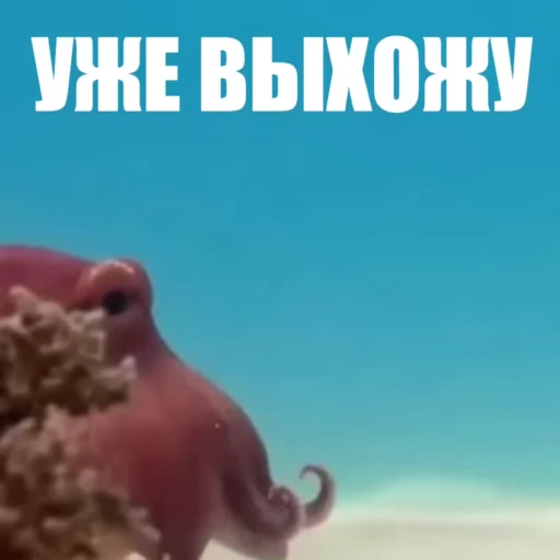 😉 Стикер «Новый видеопак» для Telegram