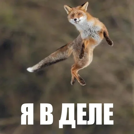 🙂 Стикер «ЖЮ Видео НГ» для Telegram