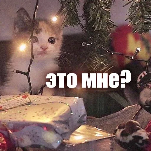 🥹 Стикер «ЖЮ Видео НГ» для Telegram