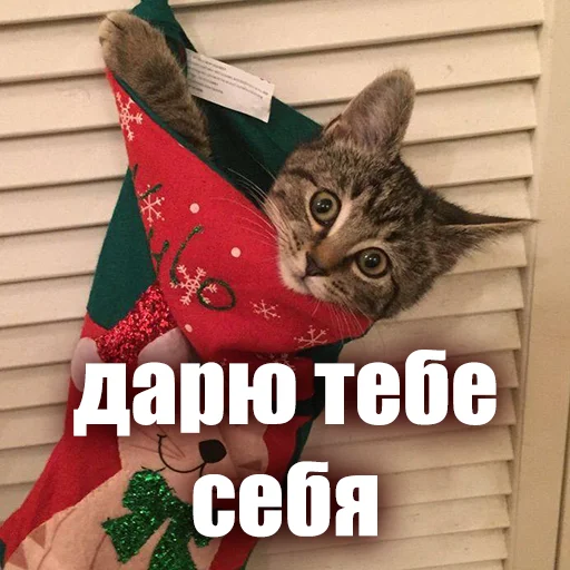 😎 Стикер «ЖЮ Видео НГ» для Telegram