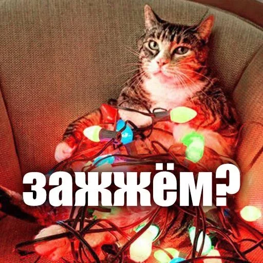 😎 Стикер «ЖЮ Видео НГ» для Telegram