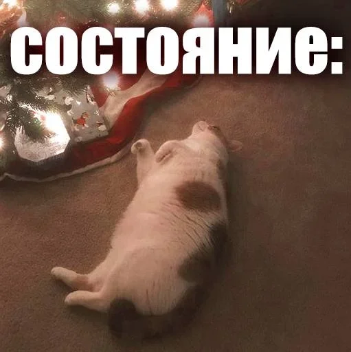 🙃 Стикер «ЖЮ Видео НГ» для Telegram