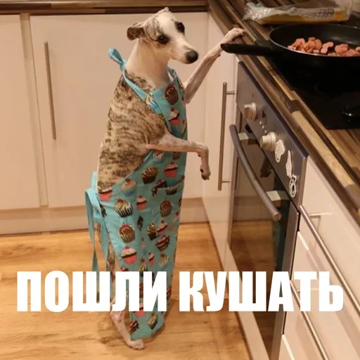 😋 Стикер «ЖЮ Видео НГ» для Telegram