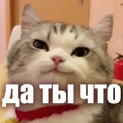 😉 Стикер «ЖЮ Видео НГ» для Telegram