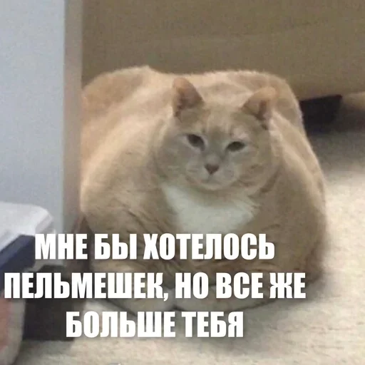 😎 Стикер «ЖЮ Видео НГ» для Telegram