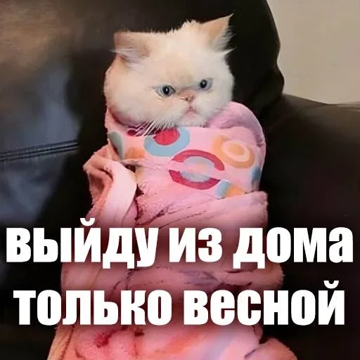 😡 Стикер «ЖЮ Видео НГ» для Telegram