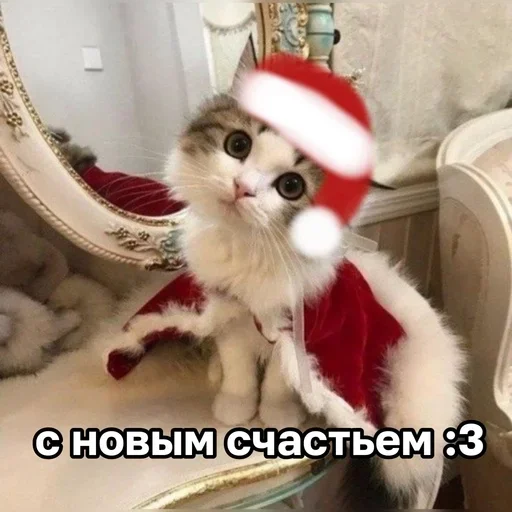 🌟 Стикер «ЖЮ Видео НГ» для Telegram
