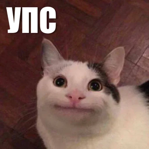 🫣 Стикер «ЖЮ Видео НГ» для Telegram