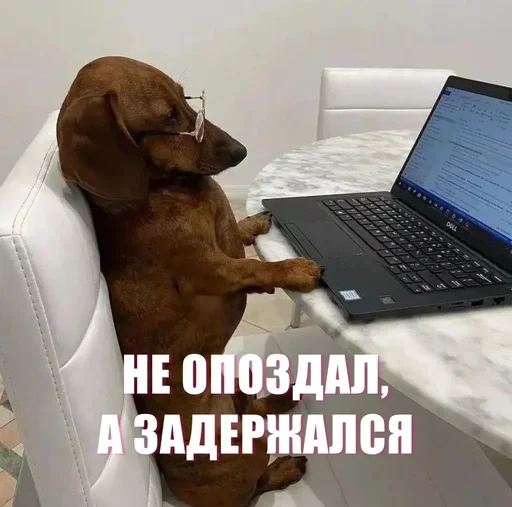 😉 Стикер «ЖЮ Видео НГ» для Telegram