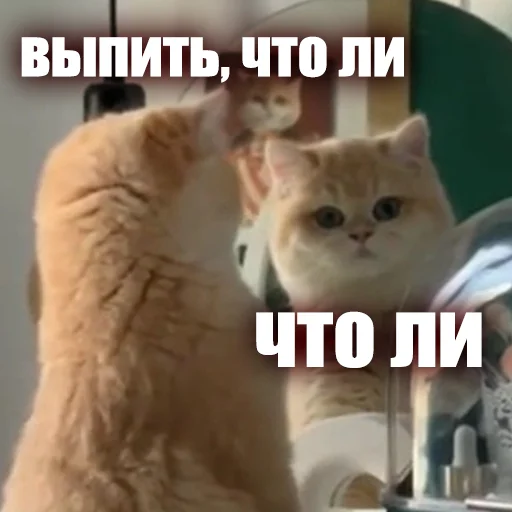🍷 Стикер «ЖЮ Видео НГ» для Telegram