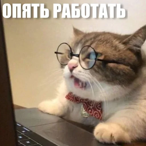 😒 Стикер «ЖЮ Видео НГ» для Telegram