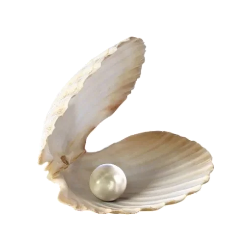 🐚 Стикер «light» для Telegram