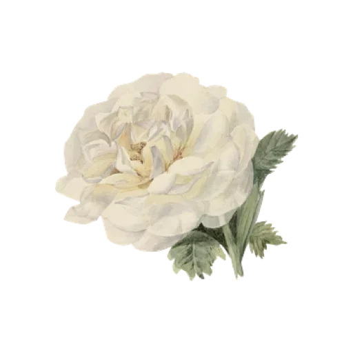 🥀 Стикер «light» для Telegram