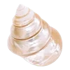 🐚 Эмодзи «🌙 Светлая сторона моды 💖» для Telegram