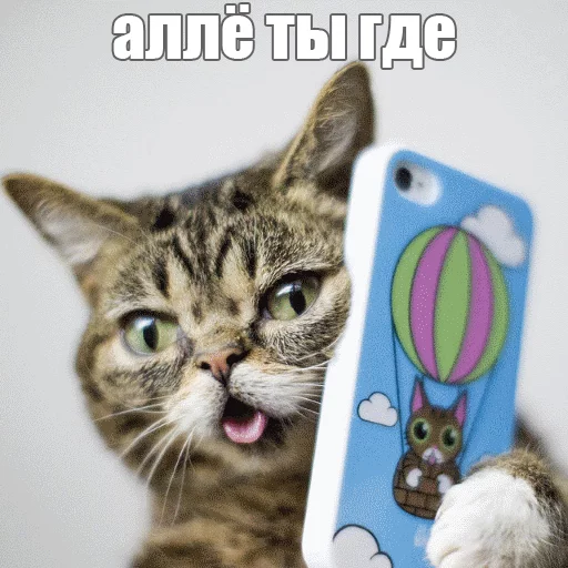 😒 Стикер «Lil_Bub» для Telegram