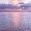 🤩 Эмодзи «Сиреневая Эстетика» для Telegram