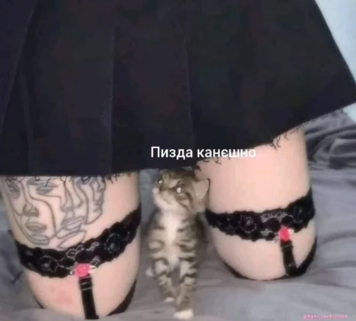🧐 Стикер «lil pussy» для Telegram