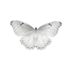 🦋 Эмодзи «🐇 white emoji - белая эстетика» для Telegram