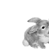 🐇 Эмодзи «🐇 white emoji - белая эстетика» для Telegram