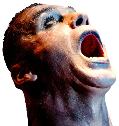 😮 Стикер «Lindemann» для Telegram