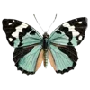 🦋 Эмодзи «white paradise» для Telegram