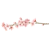 🌸 Эмодзи «white paradise» для Telegram