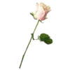 🌹 Эмодзи «white paradise» для Telegram