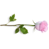 🤍 Эмодзи «white paradise» для Telegram