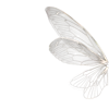 🦋 Эмодзи «white paradise» для Telegram