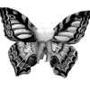 🤩 Эмодзи «𝑚𝑜𝑛𝑜𝑐ℎ𝑟𝑜𝑚𝑒» для Telegram