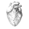 🤩 Эмодзи «Cerulean» для Telegram