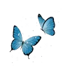 🤩 Эмодзи «Cerulean» для Telegram