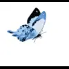 🤩 Эмодзи «Cerulean» для Telegram