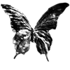 🌟 Эмодзи «𝔩𝔦𝔯𝔦𝔬𝔯𝔦𝔞𝔩 ꨄ» для Telegram