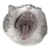 🤩 Эмодзи «🩶 random gray emoji» для Telegram