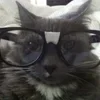 🌟 Эмодзи «🩶 random gray emoji» для Telegram
