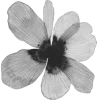 🤩 Эмодзи «🩶 random gray emoji» для Telegram