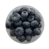 🌟 Эмодзи «🩶 random gray emoji» для Telegram