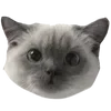 🌟 Эмодзи «🩶 random gray emoji» для Telegram