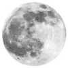 🌟 Эмодзи «🩶 random gray emoji» для Telegram
