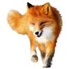 🤩 Эмодзи «Лисы Tg» для Telegram