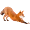 🤩 Эмодзи «Лисы Tg» для Telegram